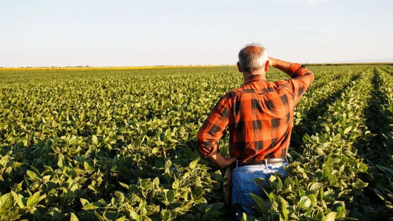 Como as Oscilações Climáticas Impactam a Economia do Campo